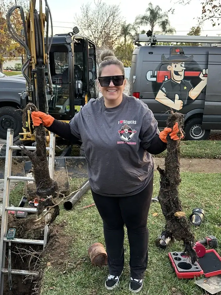 sewer page, roots in mail line plumbing service