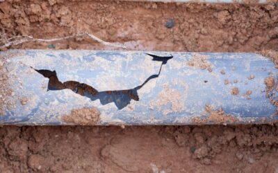 Signs You Need Sewer Line Repair