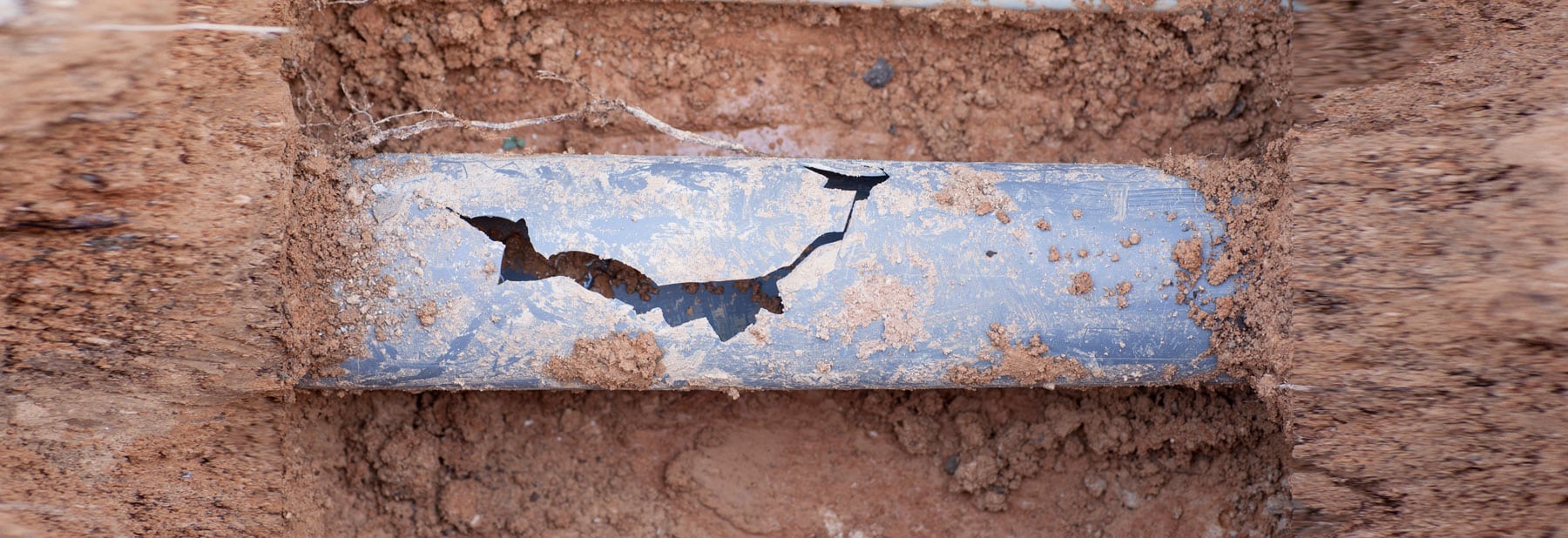 Signs You Need Sewer Line Repair