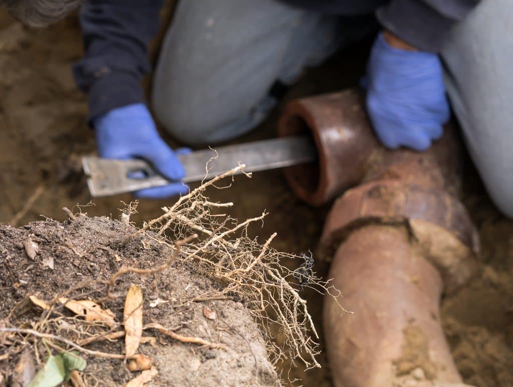 Sewer Line Repair in South San Jose Hills, California (8560)