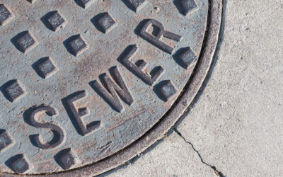 How to Spot and Deal With a Clogged Sewer Line