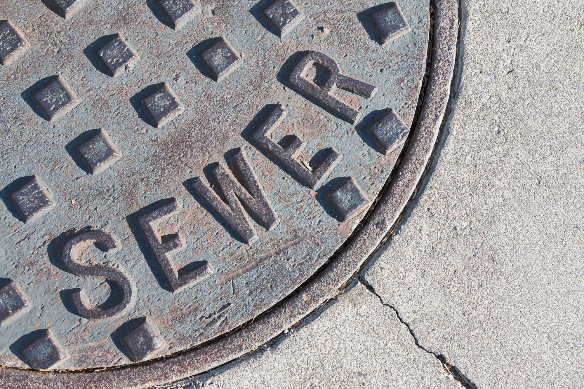 How to Spot and Deal With a Clogged Sewer Line