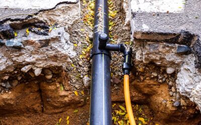 Common Causes of Sewer Line Backup and How to Fix Them
