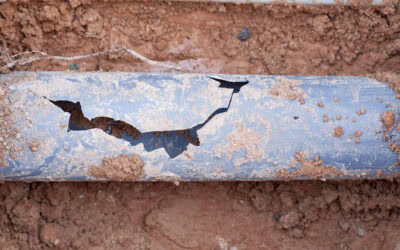A Homeowner’s Guide to Sewer Line Problems and Repairs